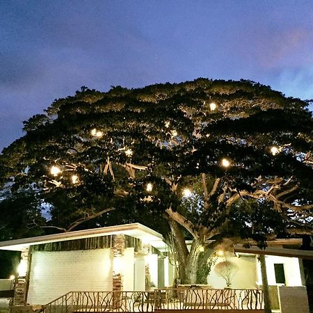 Serviced Apartments By Eco Hotel Bohol Panglao Eksteriør billede