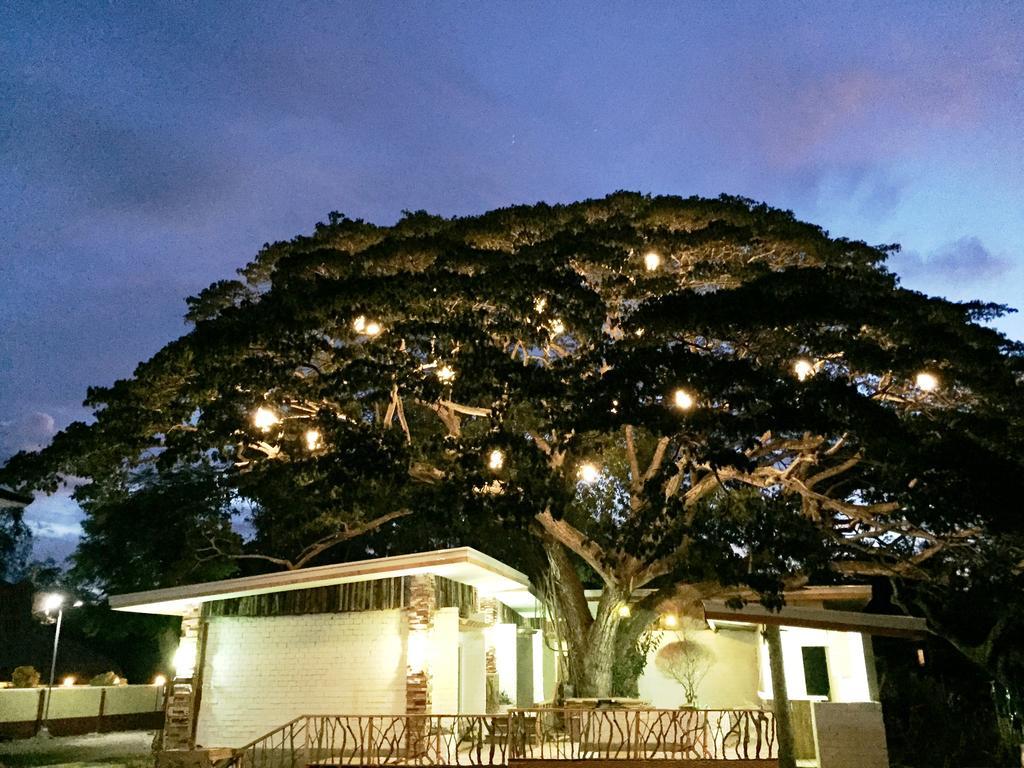 Serviced Apartments By Eco Hotel Bohol Panglao Eksteriør billede